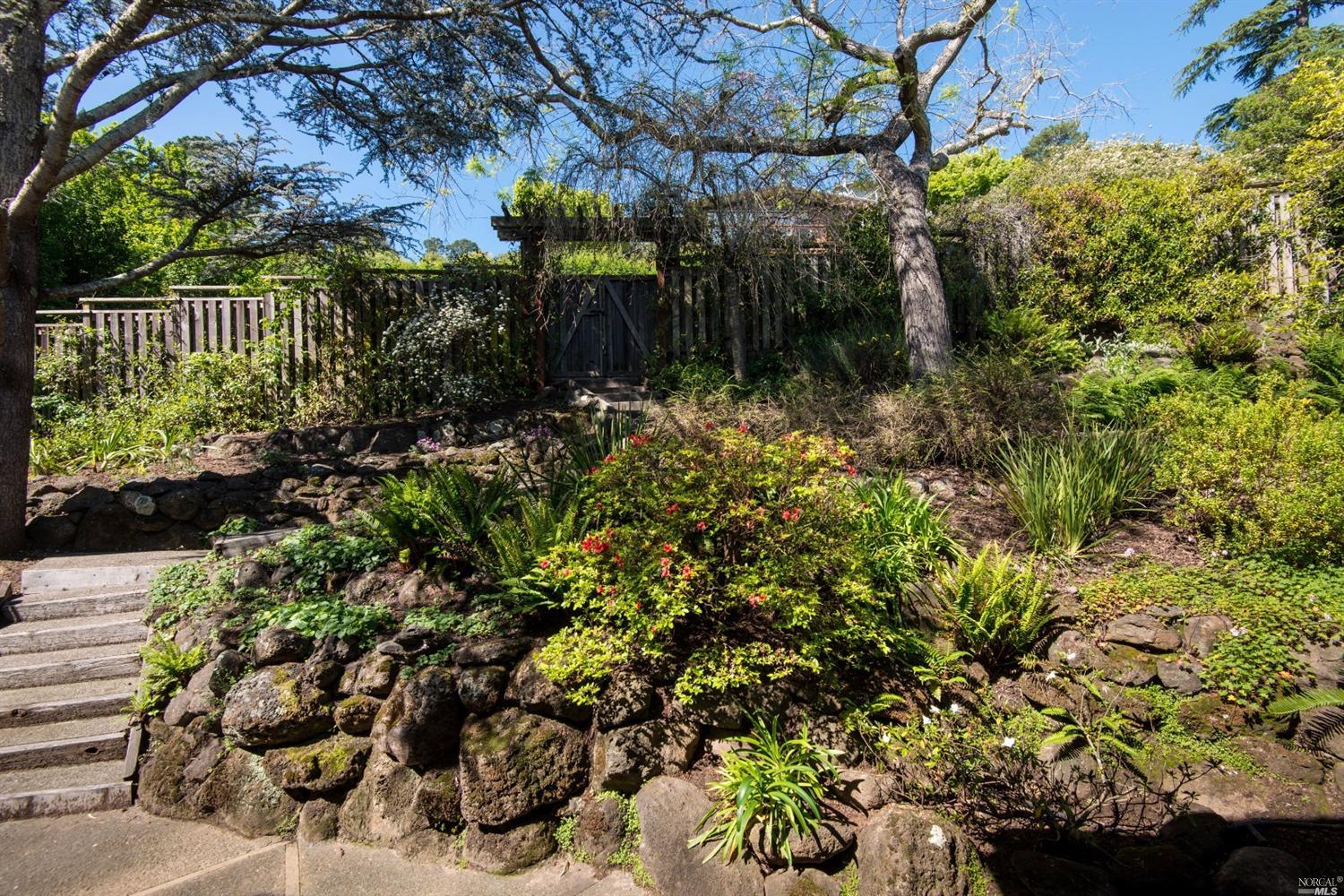 157 Lark Ln, Mill Valley, CA 94941 photo 29