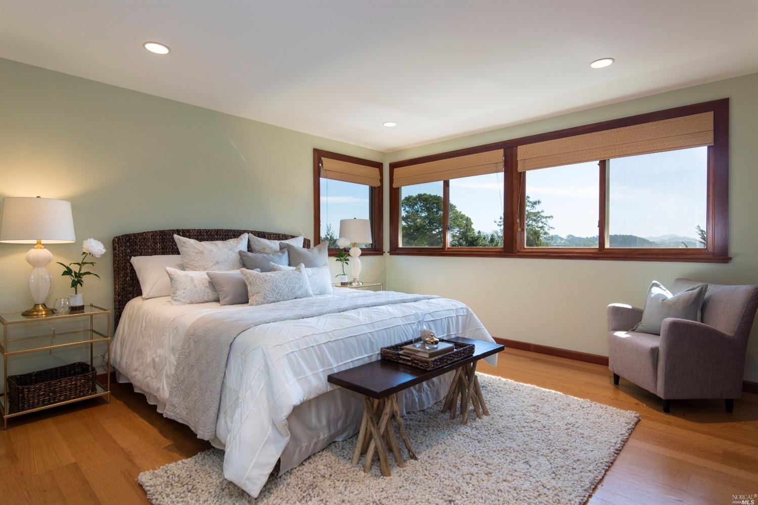 157 Lark Ln, Mill Valley, CA 94941 photo 18