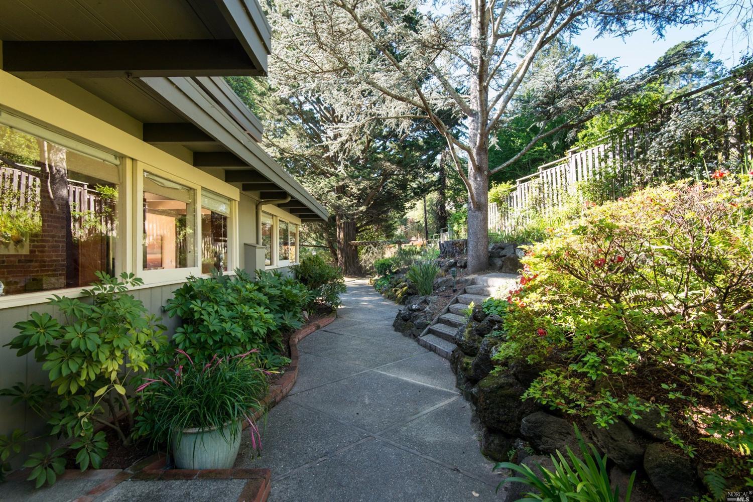 157 Lark Ln, Mill Valley, CA 94941 photo 4