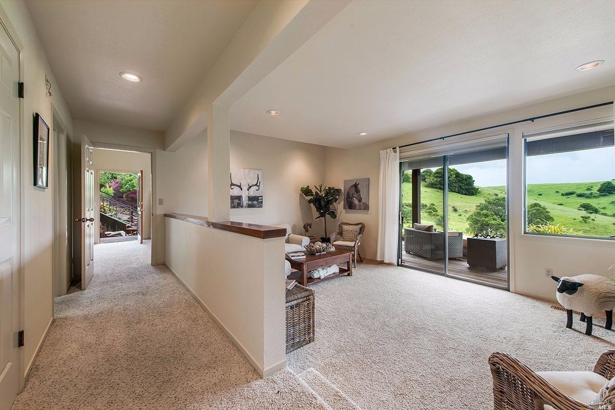10 Lula Way, Mill Valley, CA 94941 photo 33
