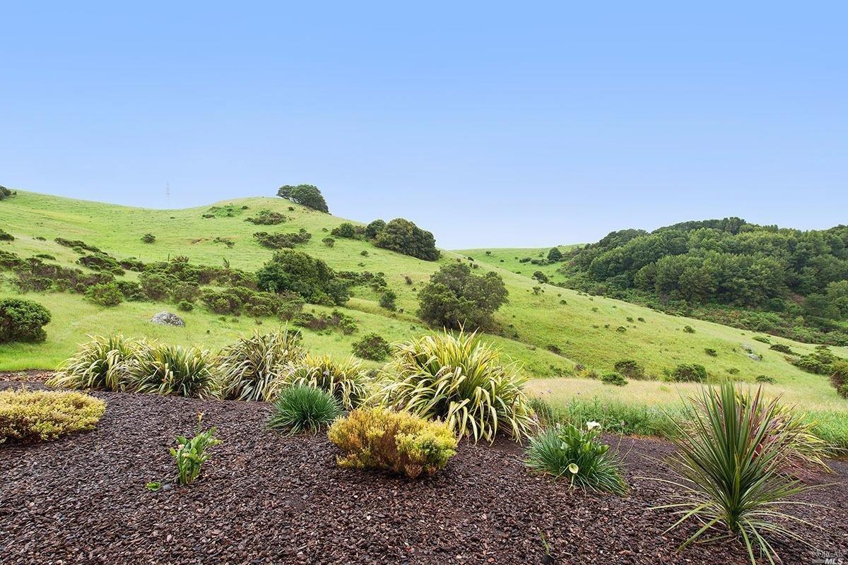 10 Lula Way, Mill Valley, CA 94941 photo 7