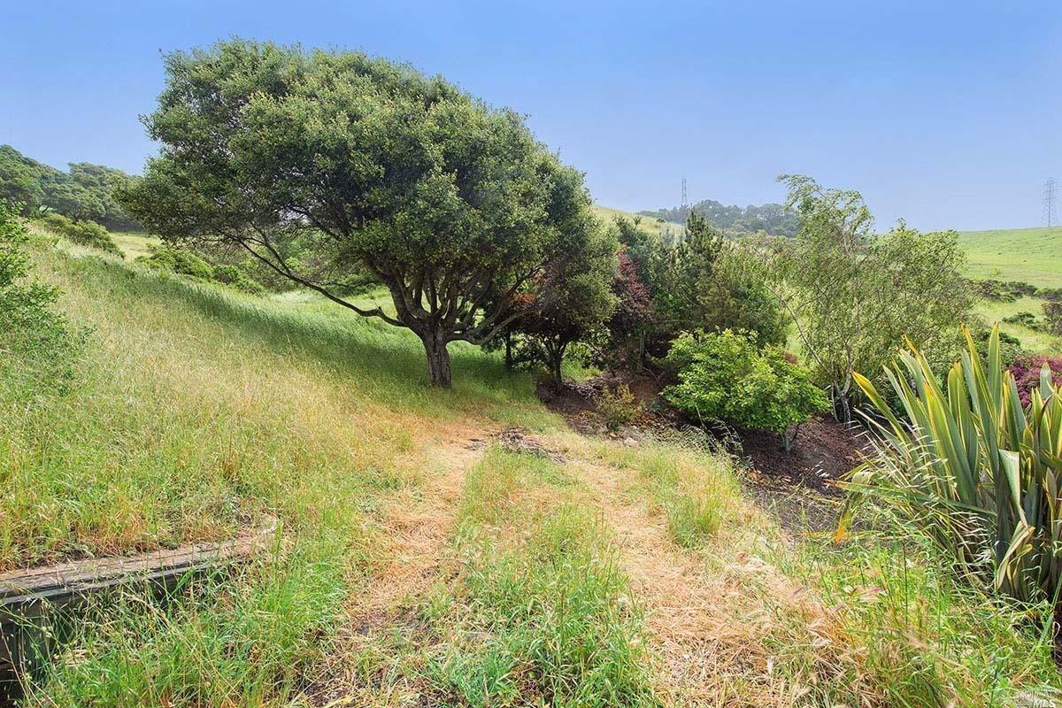 10 Lula Way, Mill Valley, CA 94941 photo 37