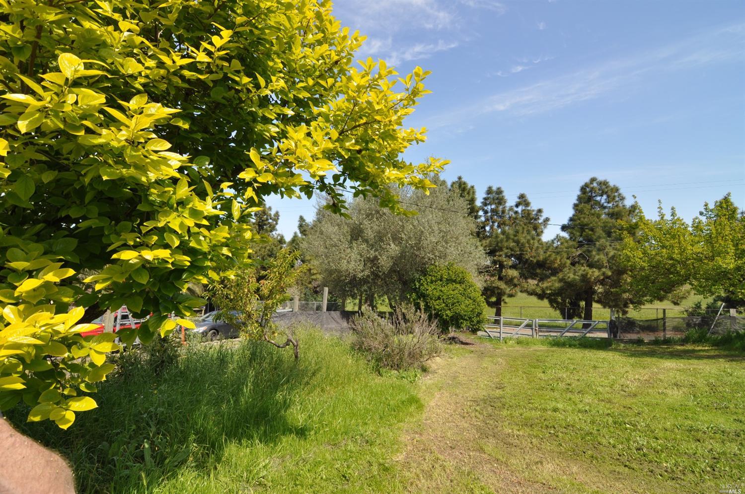 1201 Warren Ave, Vallejo, CA 94591 photo 16