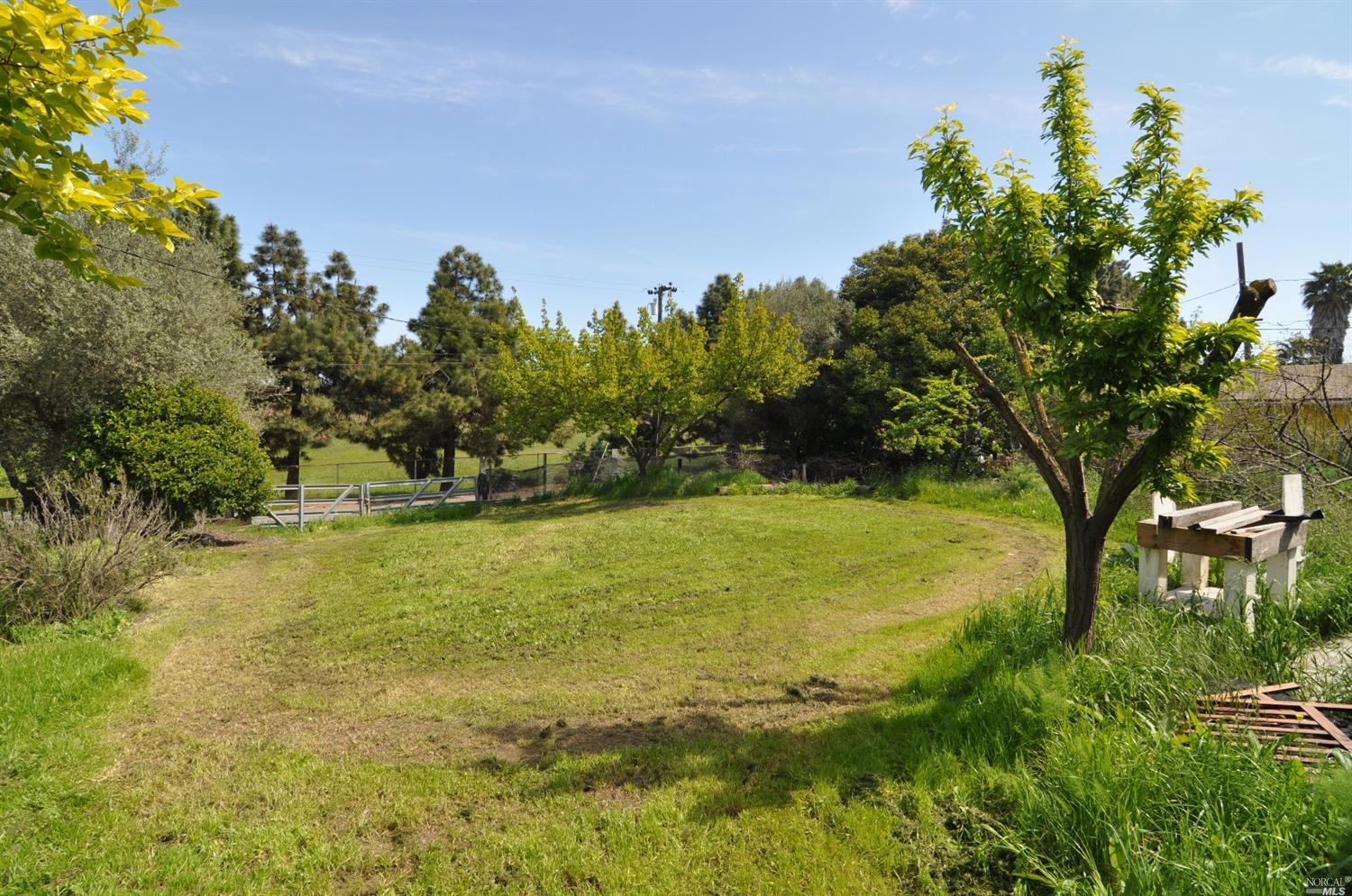 1201 Warren Ave, Vallejo, CA 94591 photo 15