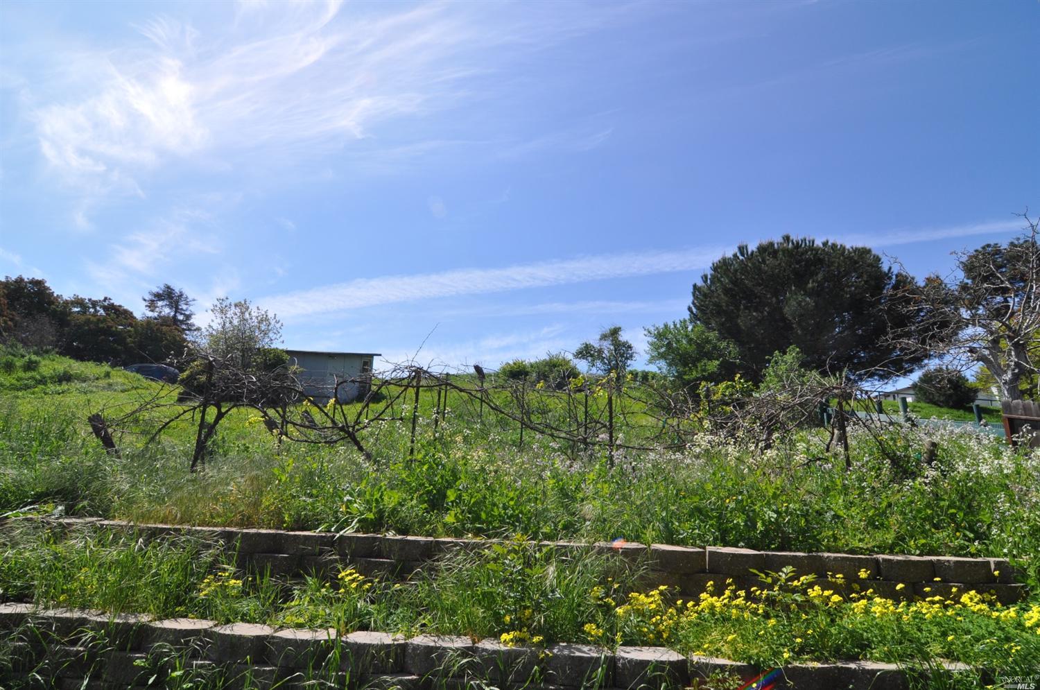 1201 Warren Ave, Vallejo, CA 94591 photo 10