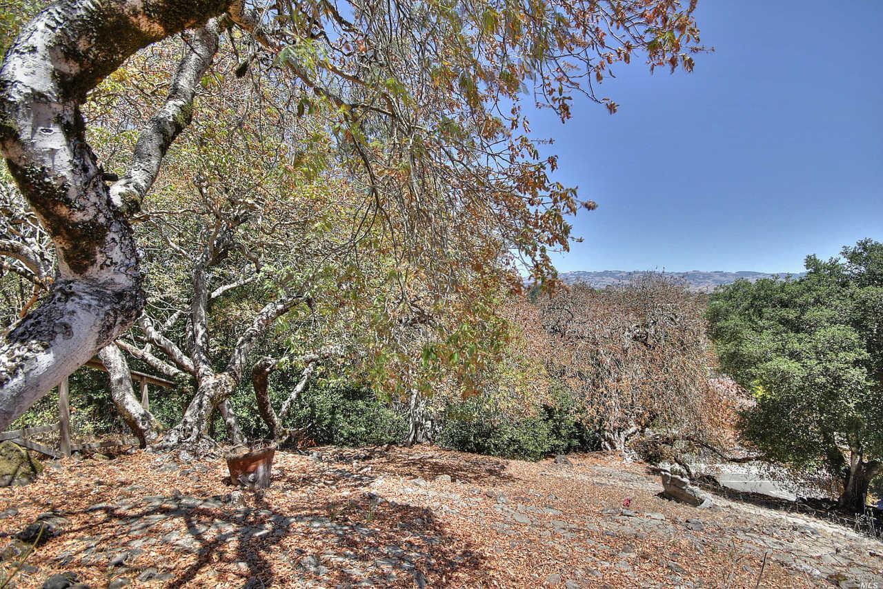 2 Benjamin Ln, Petaluma, CA 94952 photo 21
