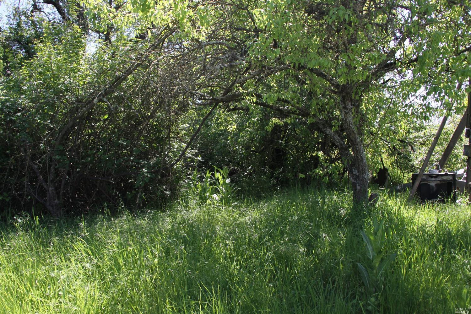 3600 Sebastopol Rd, Santa Rosa, CA 95407 photo 12