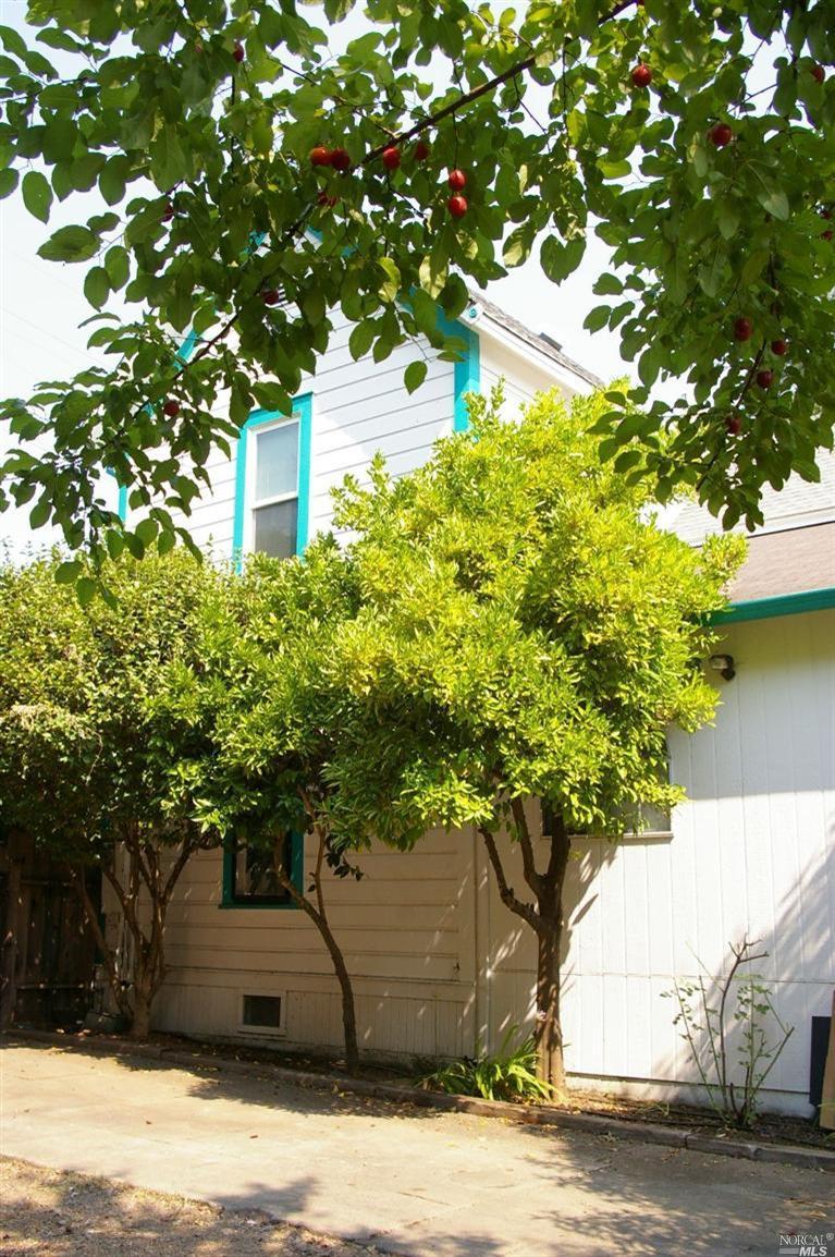 417 N Oak St, Ukiah, CA 95482 photo 22