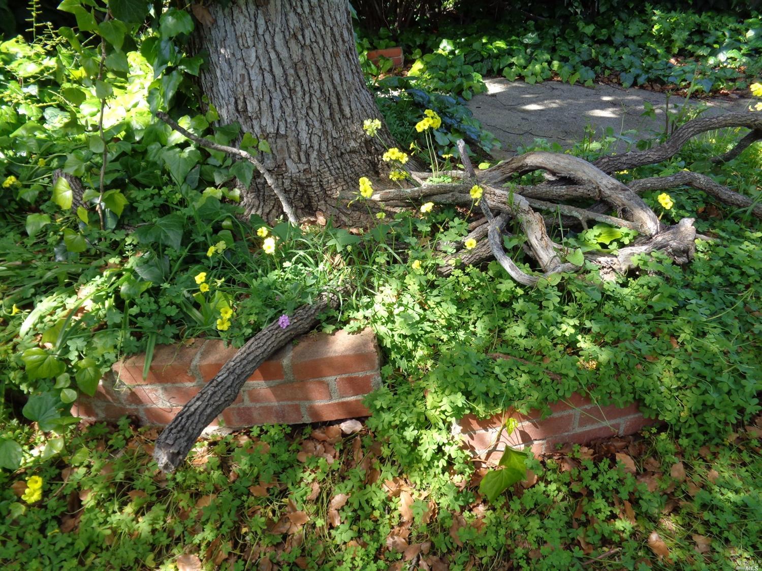 Undisclosed, Vallejo, CA 94590 photo 25
