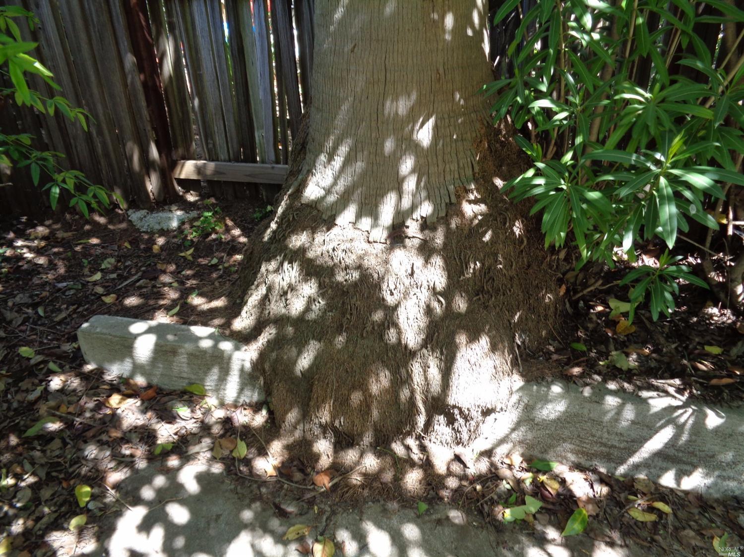 Undisclosed, Vallejo, CA 94590 photo 22