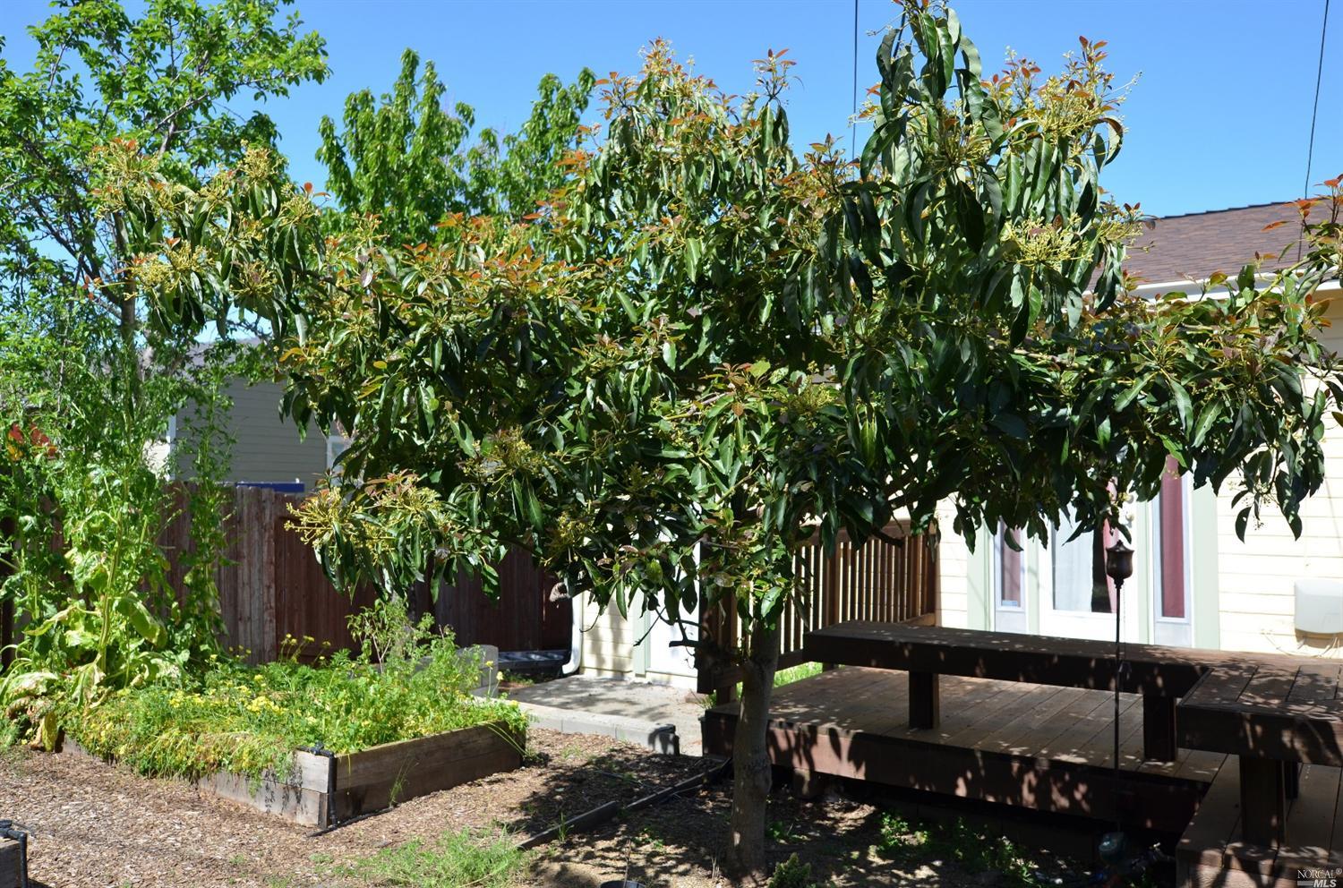 Undisclosed, Vallejo, CA 94590 photo 15