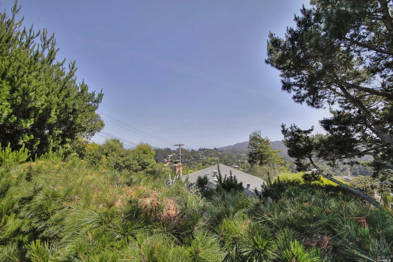 902 Valley View Ln, Mill Valley, CA 94941 photo 31