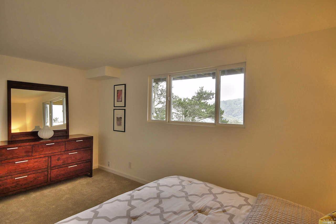902 Valley View Ln, Mill Valley, CA 94941 photo 27