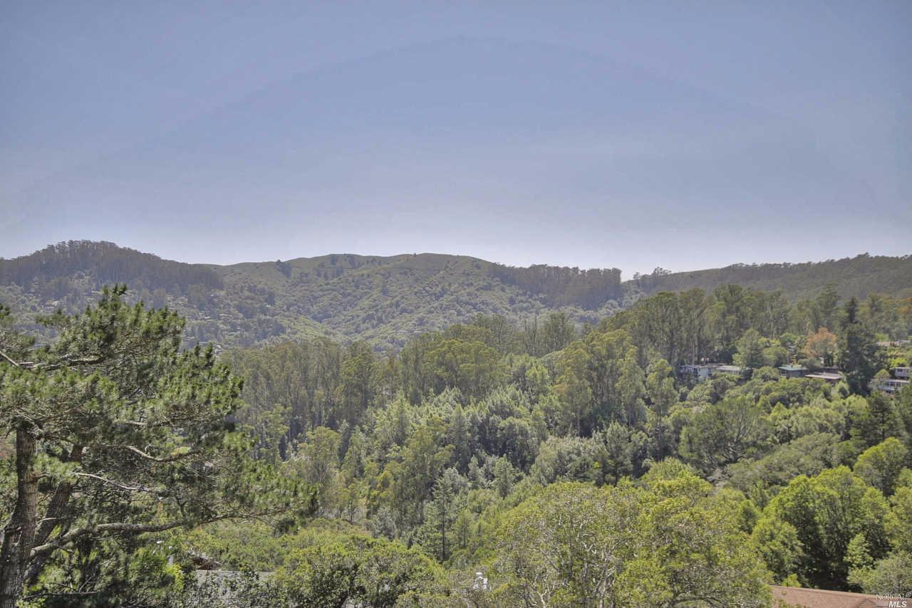 902 Valley View Ln, Mill Valley, CA 94941 photo 1