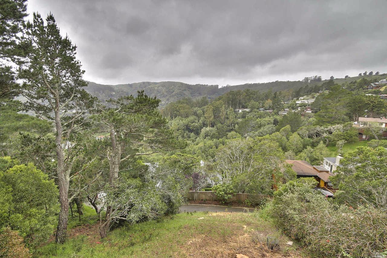 902 Valley View Ln, Mill Valley, CA 94941 photo 13