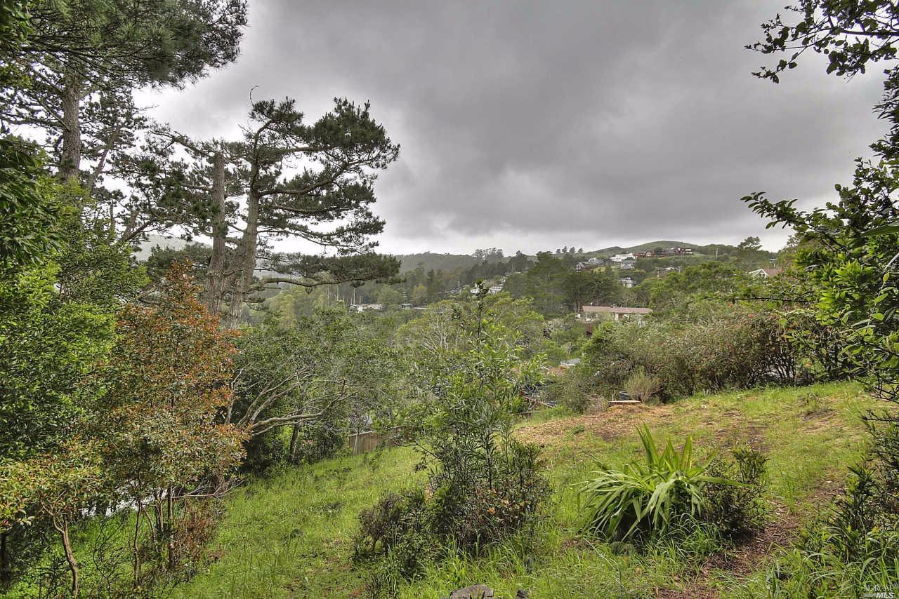902 Valley View Ln, Mill Valley, CA 94941 photo 12