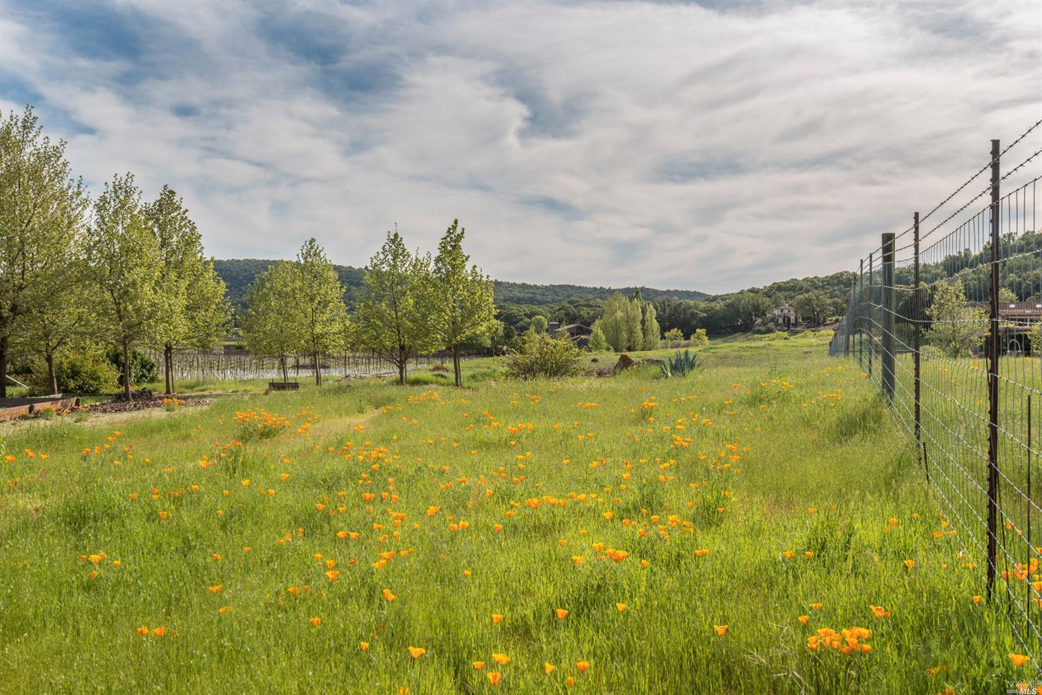 5187 Lovall Valley Loop Rd, Sonoma, CA 95476 photo 22