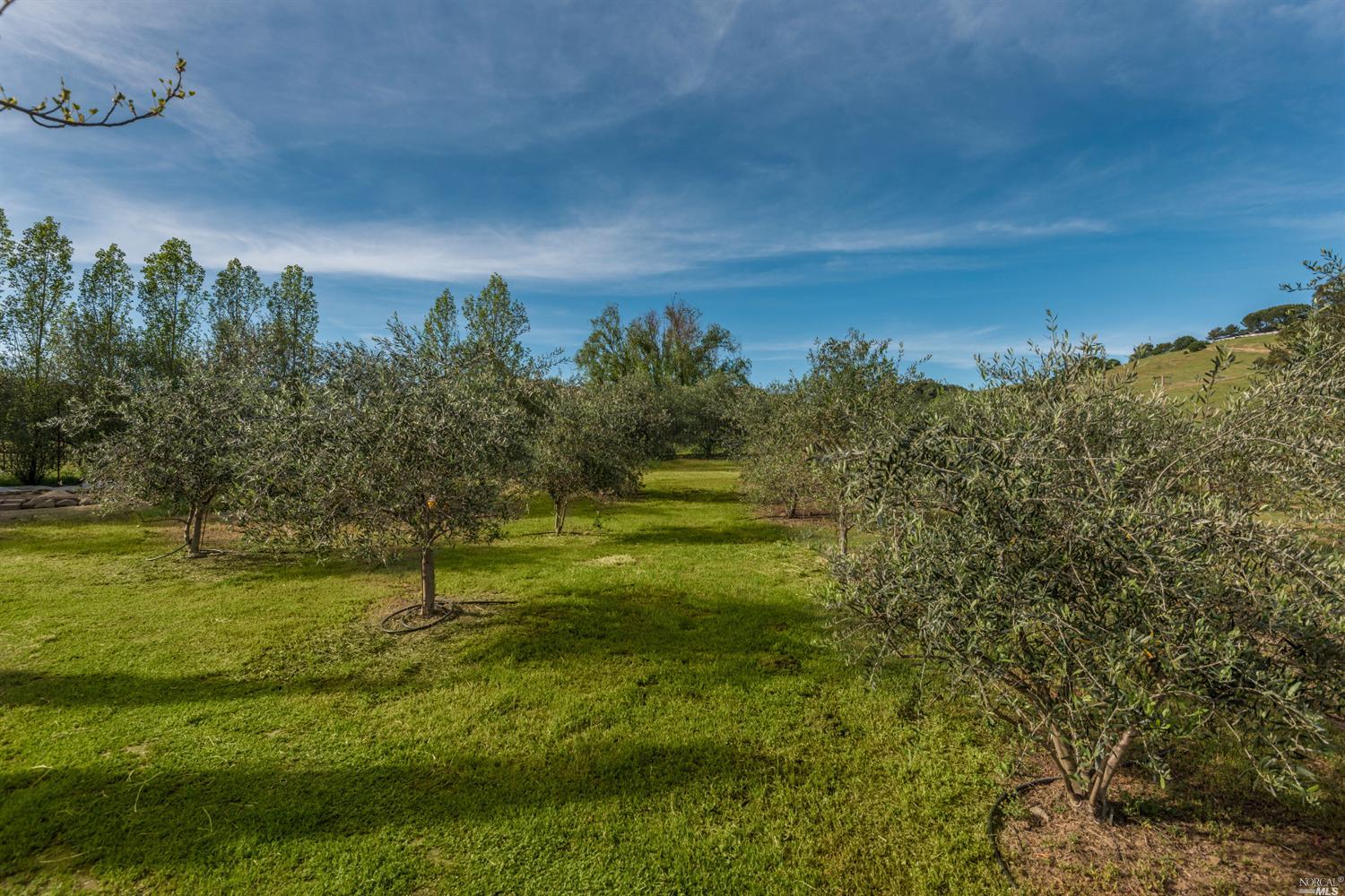 5187 Lovall Valley Loop Rd, Sonoma, CA 95476 photo 4