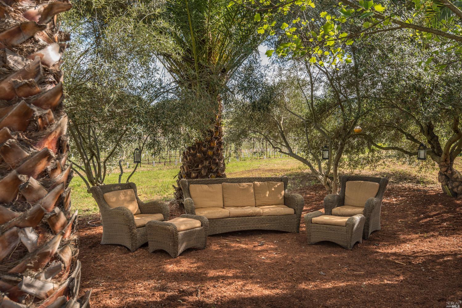 5187 Lovall Valley Loop Rd, Sonoma, CA 95476 photo 23