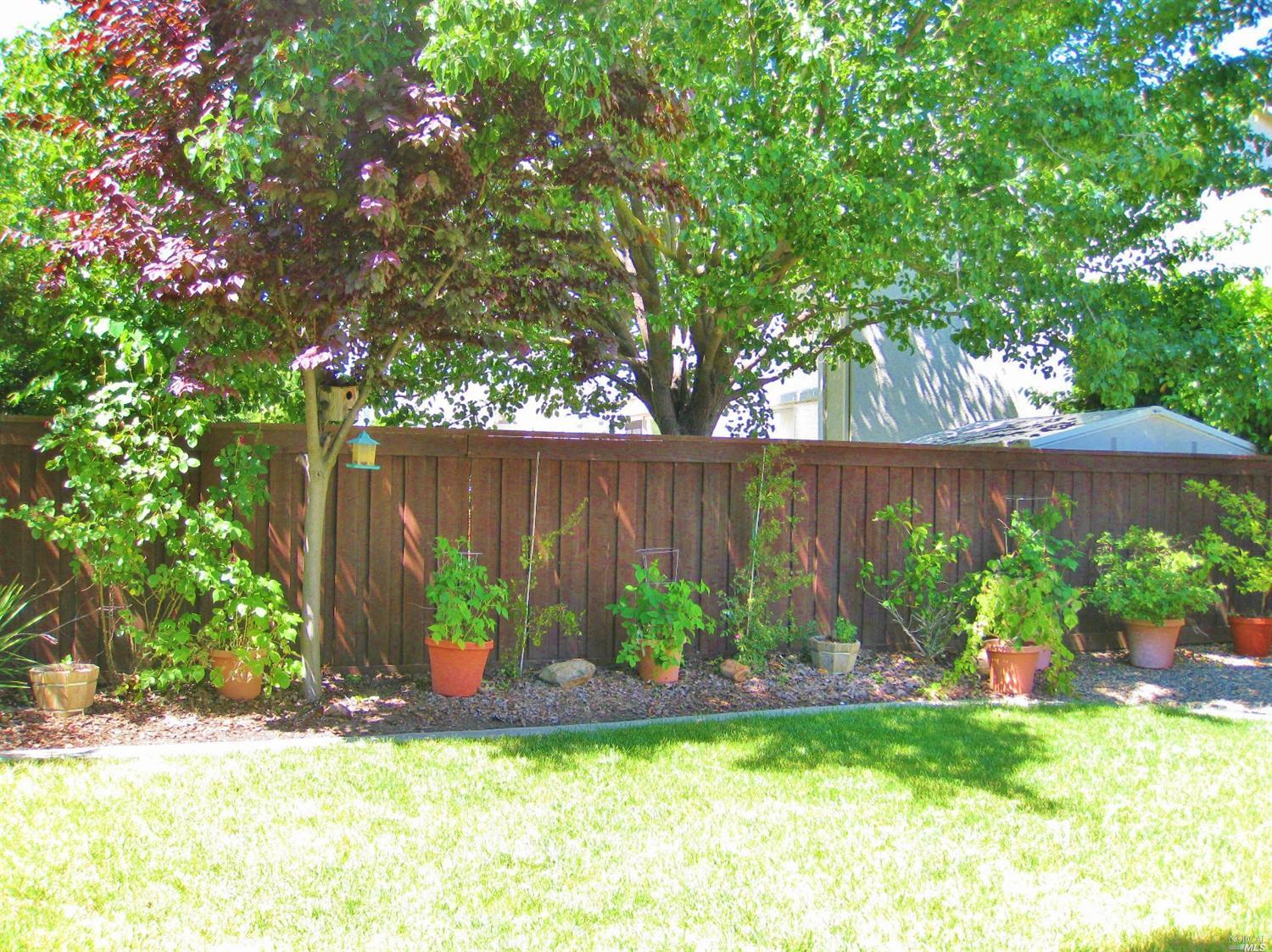 621 Gallery Ct, Fairfield, CA 94534 photo 48