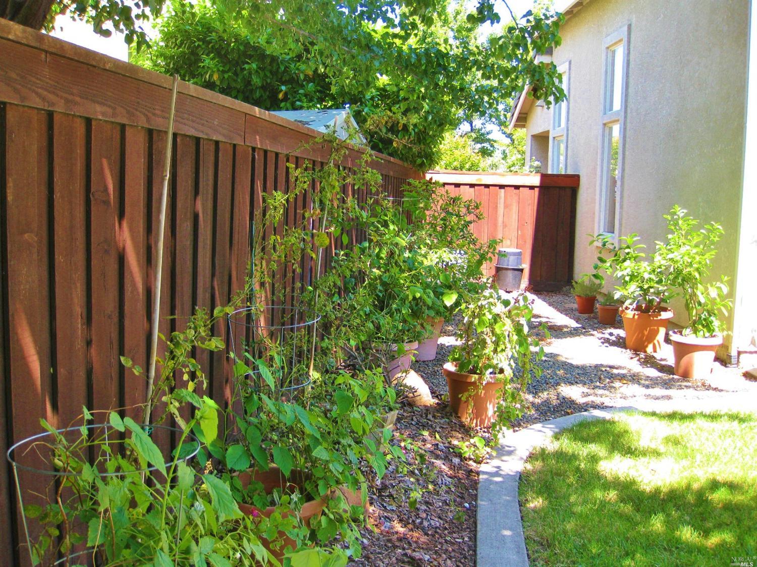 621 Gallery Ct, Fairfield, CA 94534 photo 8