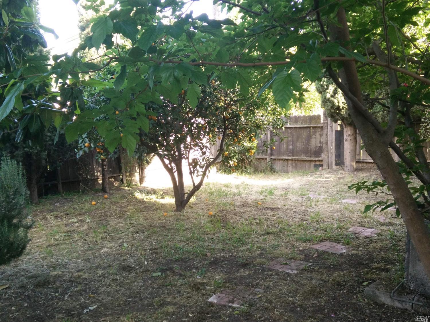 1054 Harding St, Fairfield, CA 94533 photo 20