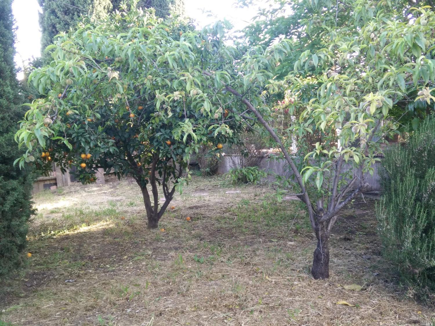 1054 Harding St, Fairfield, CA 94533 photo 19