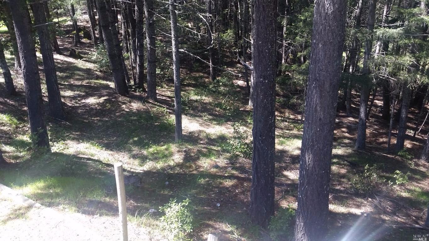 23000 Ridge Rd, Willits, CA 95490 photo 9
