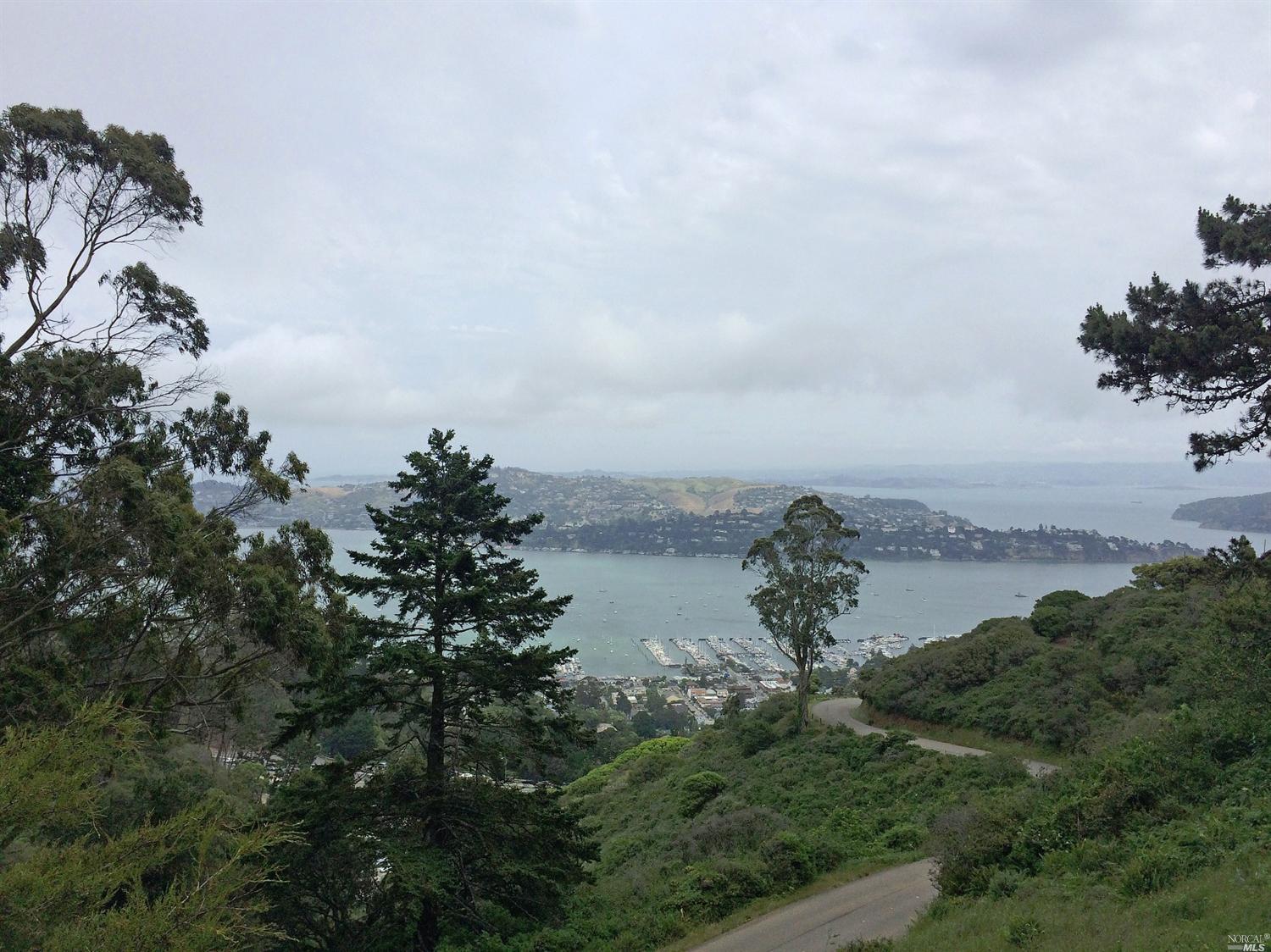 5 Wolfback Ridge Rd, Sausalito, CA 94965 photo 11
