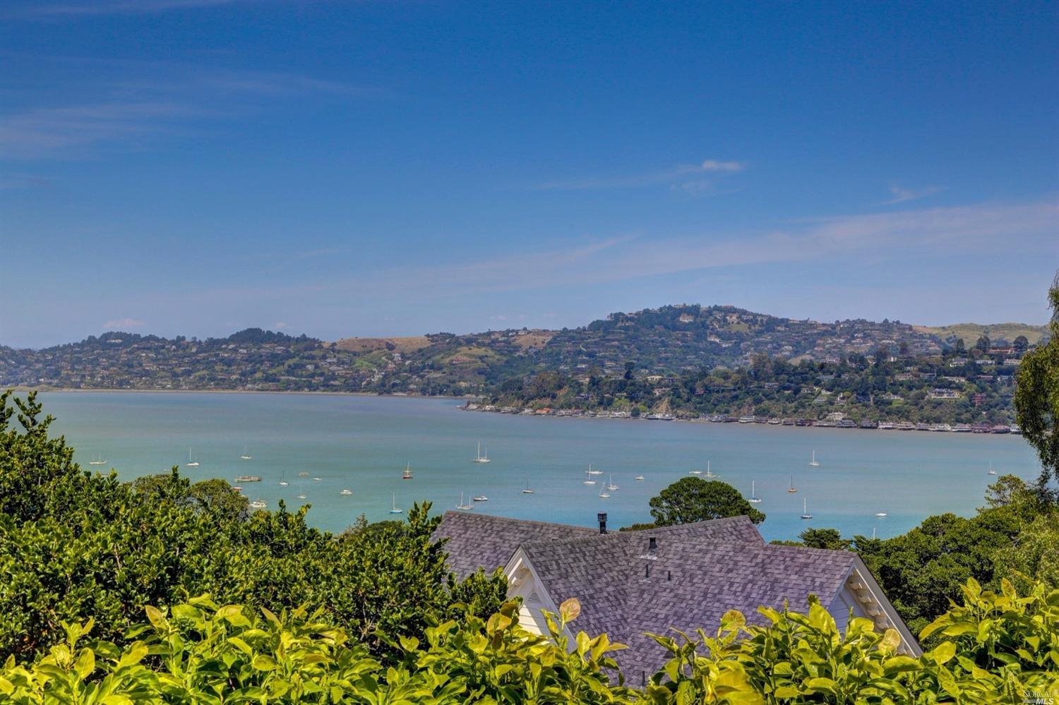 35 Miller Ave, Sausalito, CA 94965 photo 19