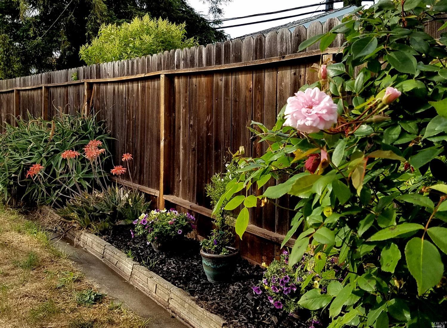 1089 Western Ave, Vallejo, CA 94591 photo 22