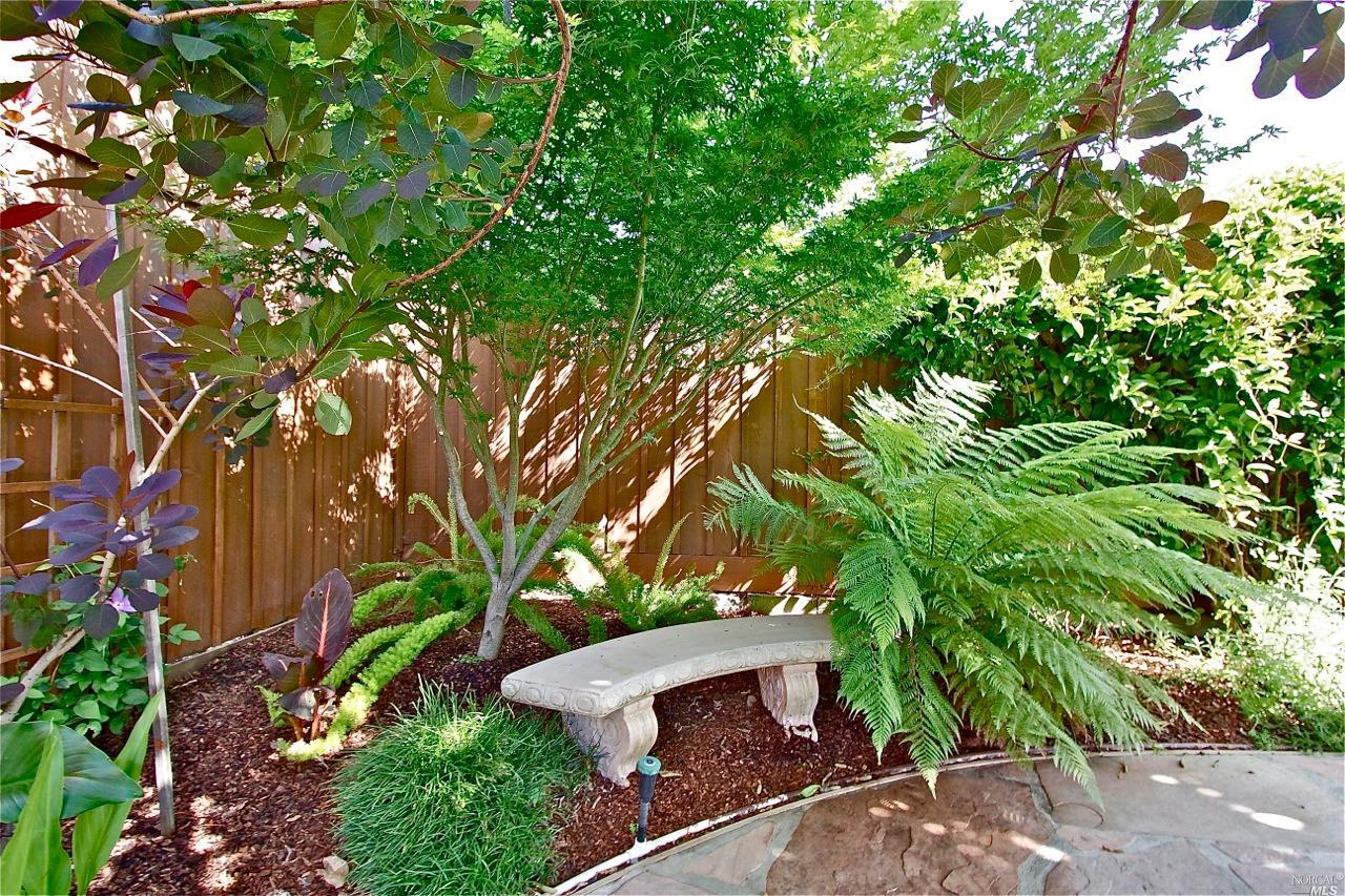 20 Echo Ave, Corte Madera, CA 94925 photo 17