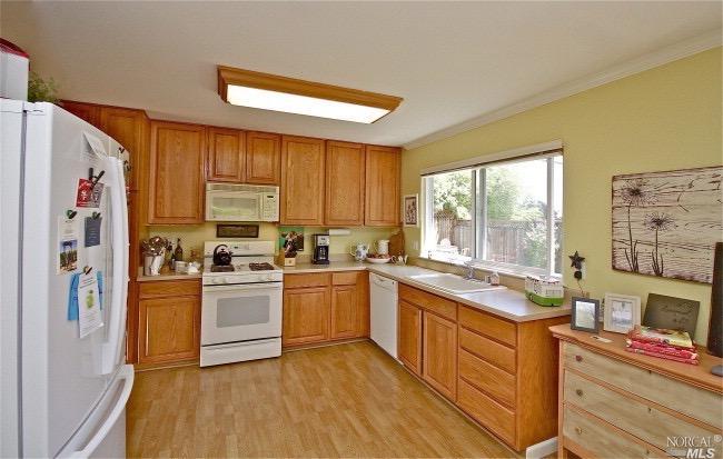 8573 Loretto Ave, Cotati, CA 94931 photo 3