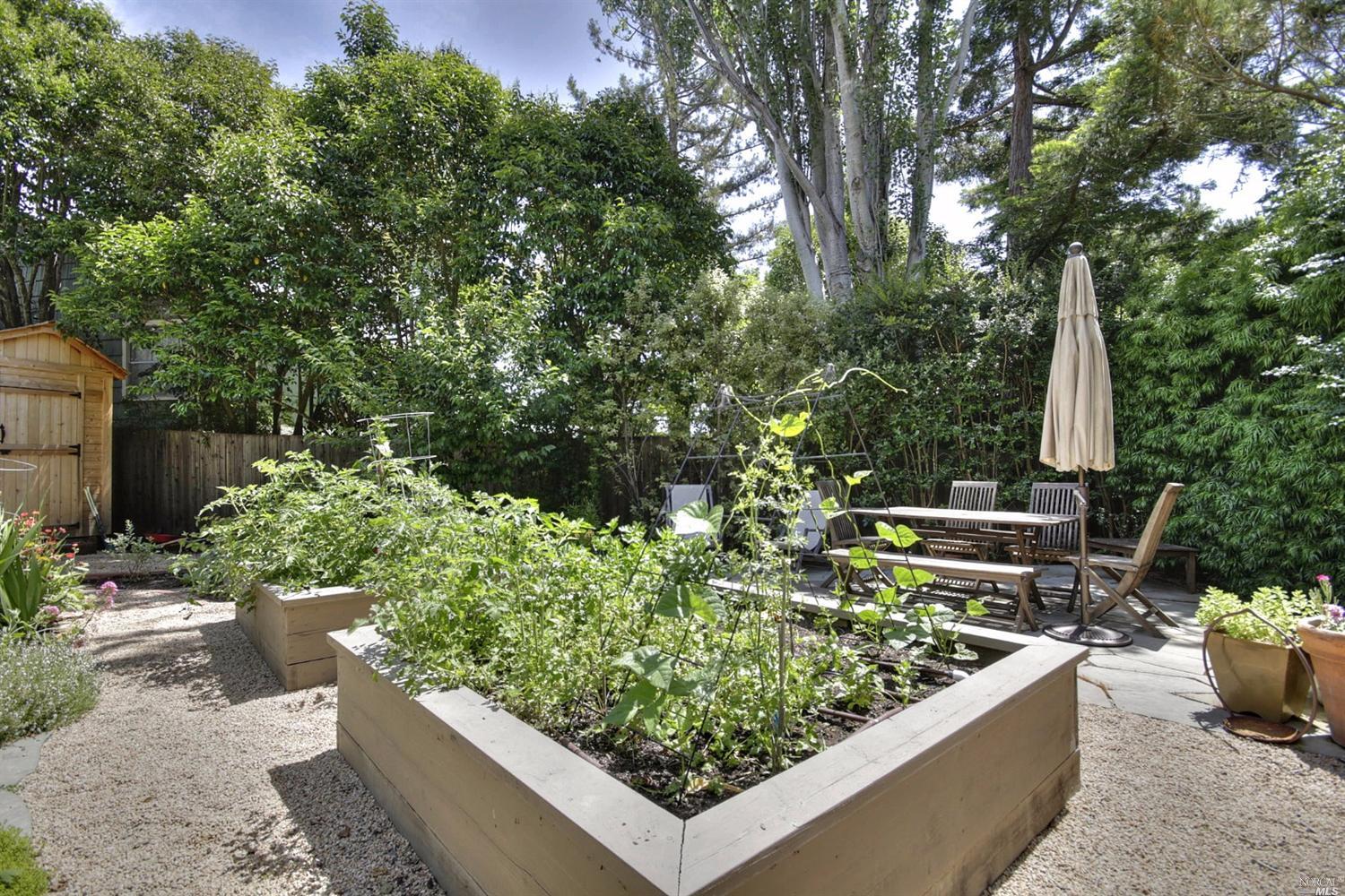 9 Hickory Ave, Corte Madera, CA 94925 photo 20