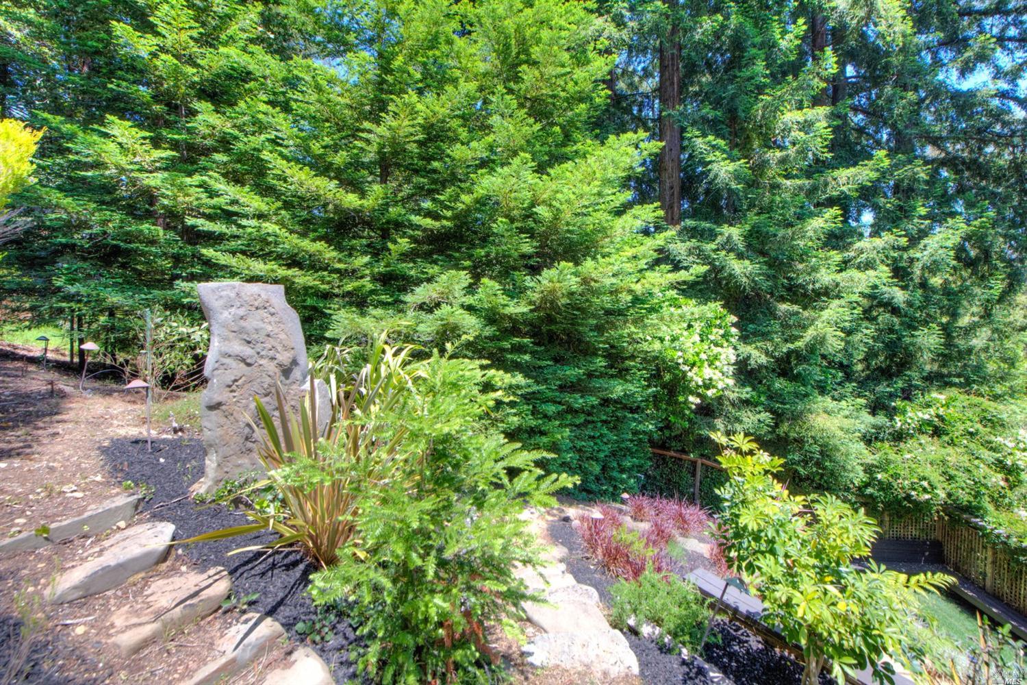 20 Wainwright Pl, Mill Valley, CA 94941 photo 19