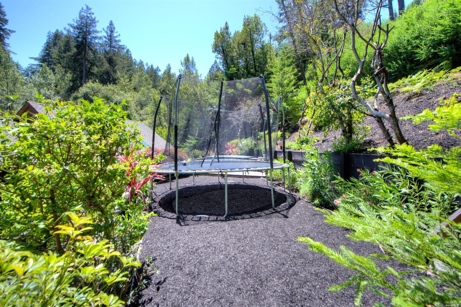 20 Wainwright Pl, Mill Valley, CA 94941 photo 18