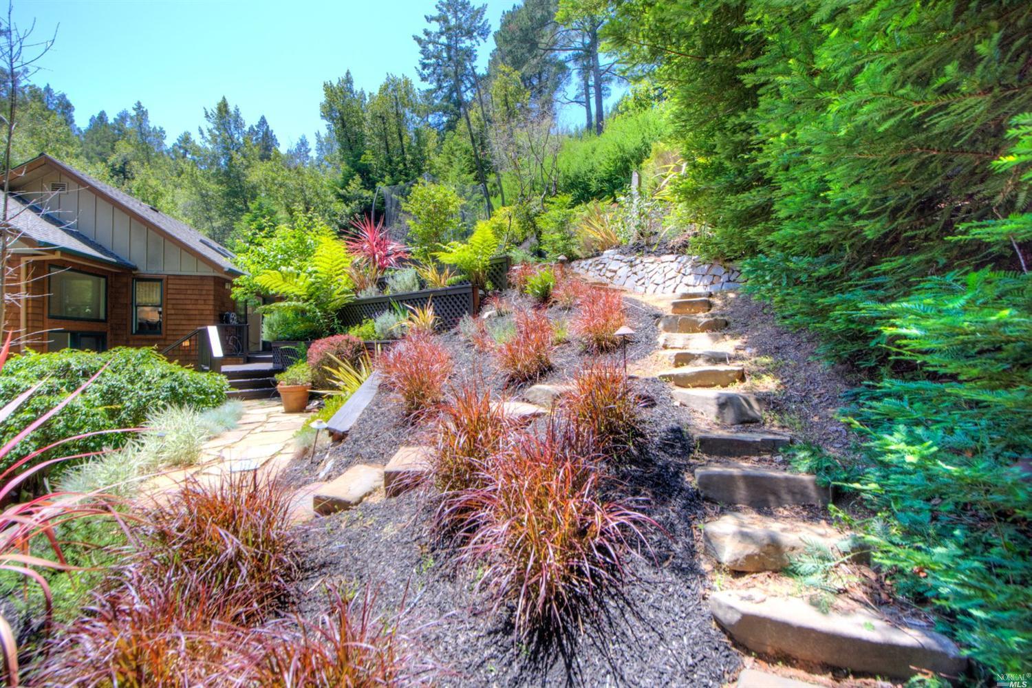 20 Wainwright Pl, Mill Valley, CA 94941 photo 17