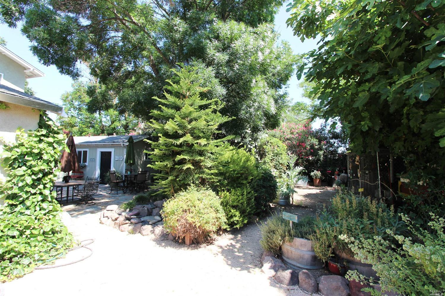 391 S 1st St, Dixon, CA 95620 photo 43