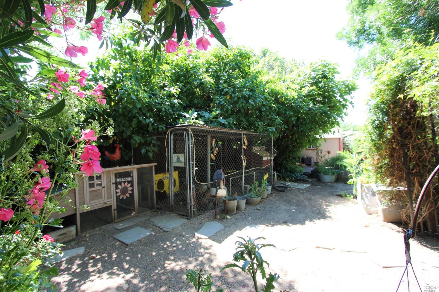391 S 1st St, Dixon, CA 95620 photo 42