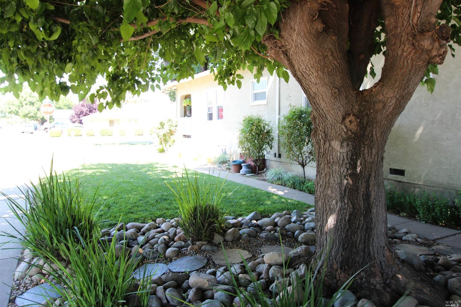 391 S 1st St, Dixon, CA 95620 photo 50
