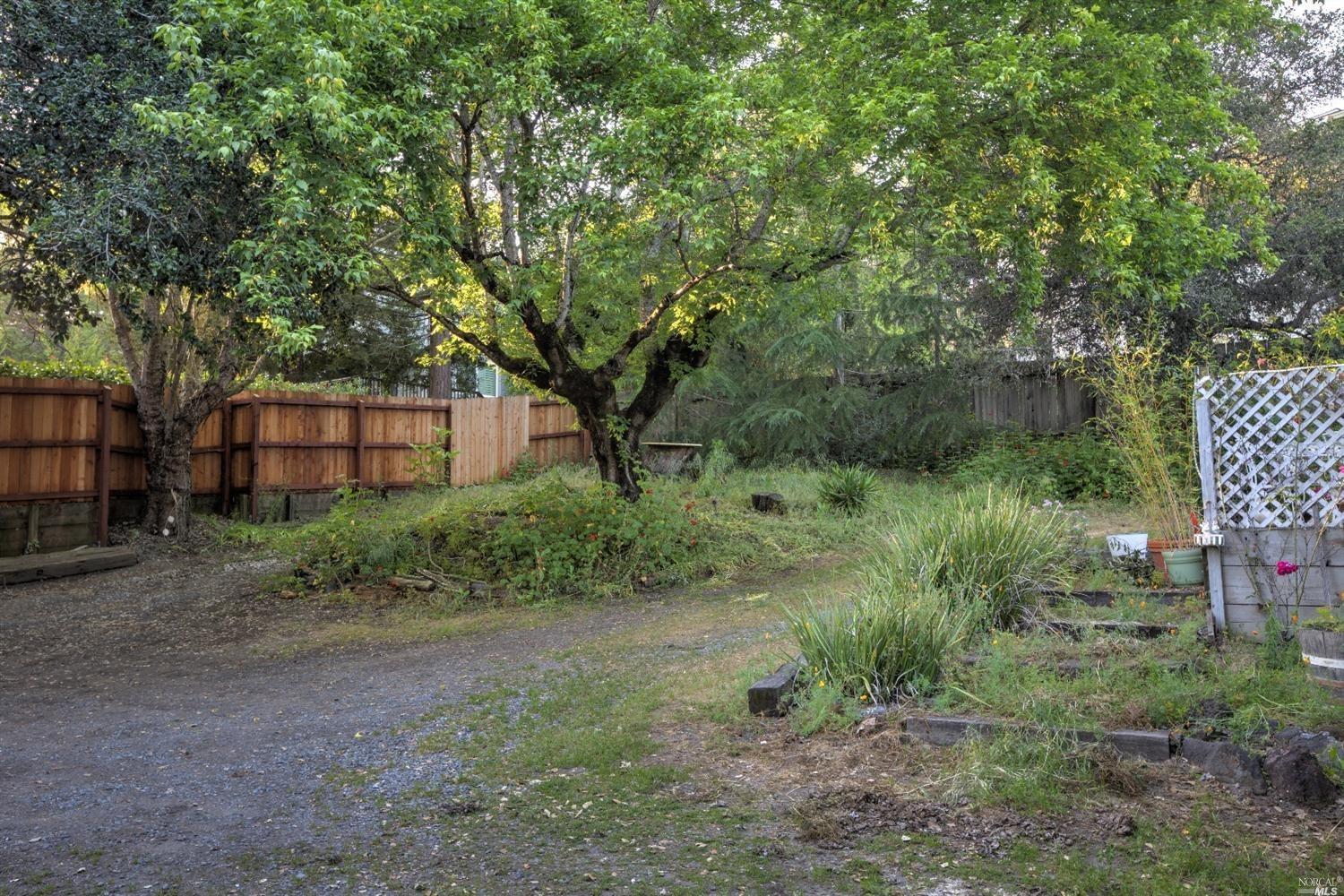 334 Bodega Ave, Petaluma, CA 94952 photo 15