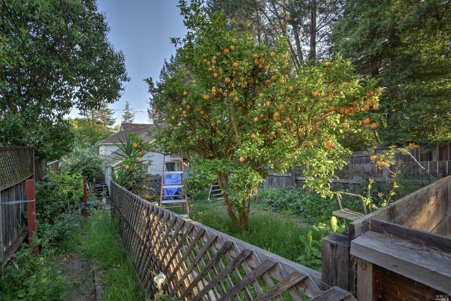 334 Bodega Ave, Petaluma, CA 94952 photo 19