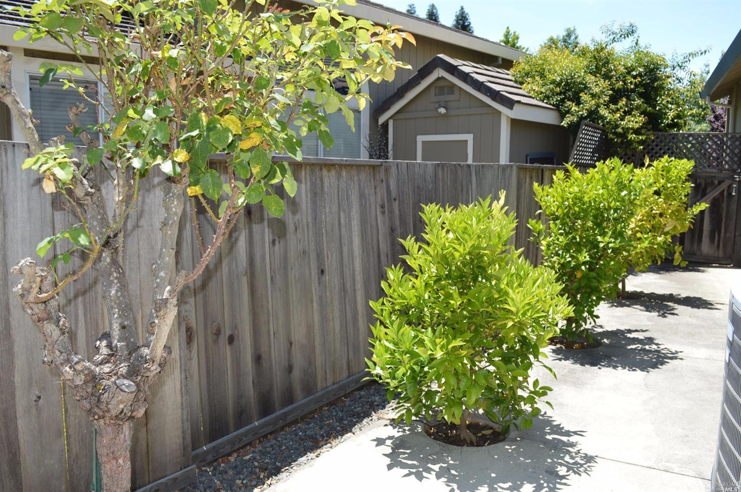 563 Quaking Aspen Ln, Windsor, CA 95492 photo 27