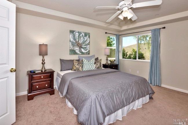 8204 Trione Cir, Windsor, CA 95492 photo 15