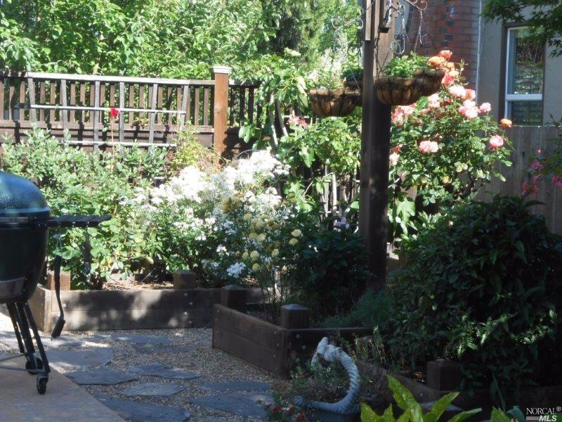 921 Wright St, Santa Rosa, CA 95404 photo 34
