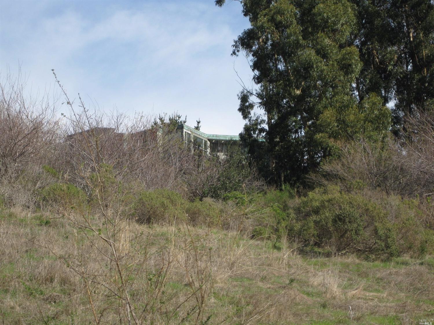 70 N Knoll Rd, Mill Valley, CA 94941 photo 13
