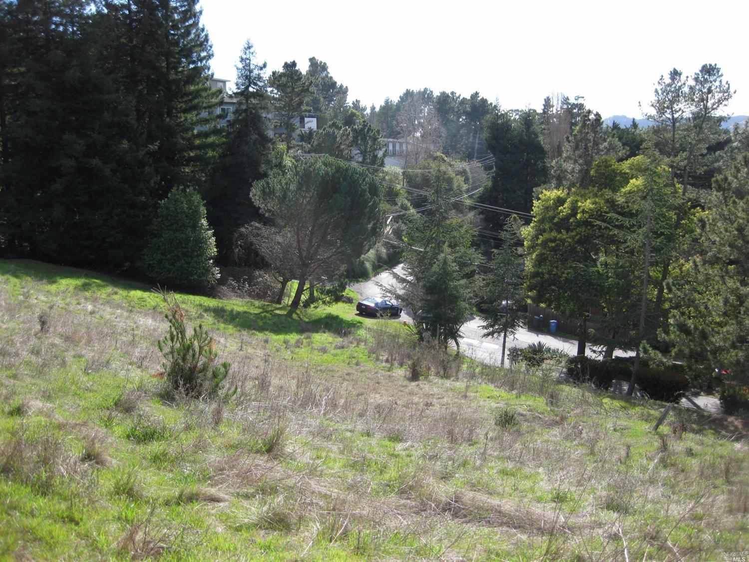 70 N Knoll Rd, Mill Valley, CA 94941 photo 11