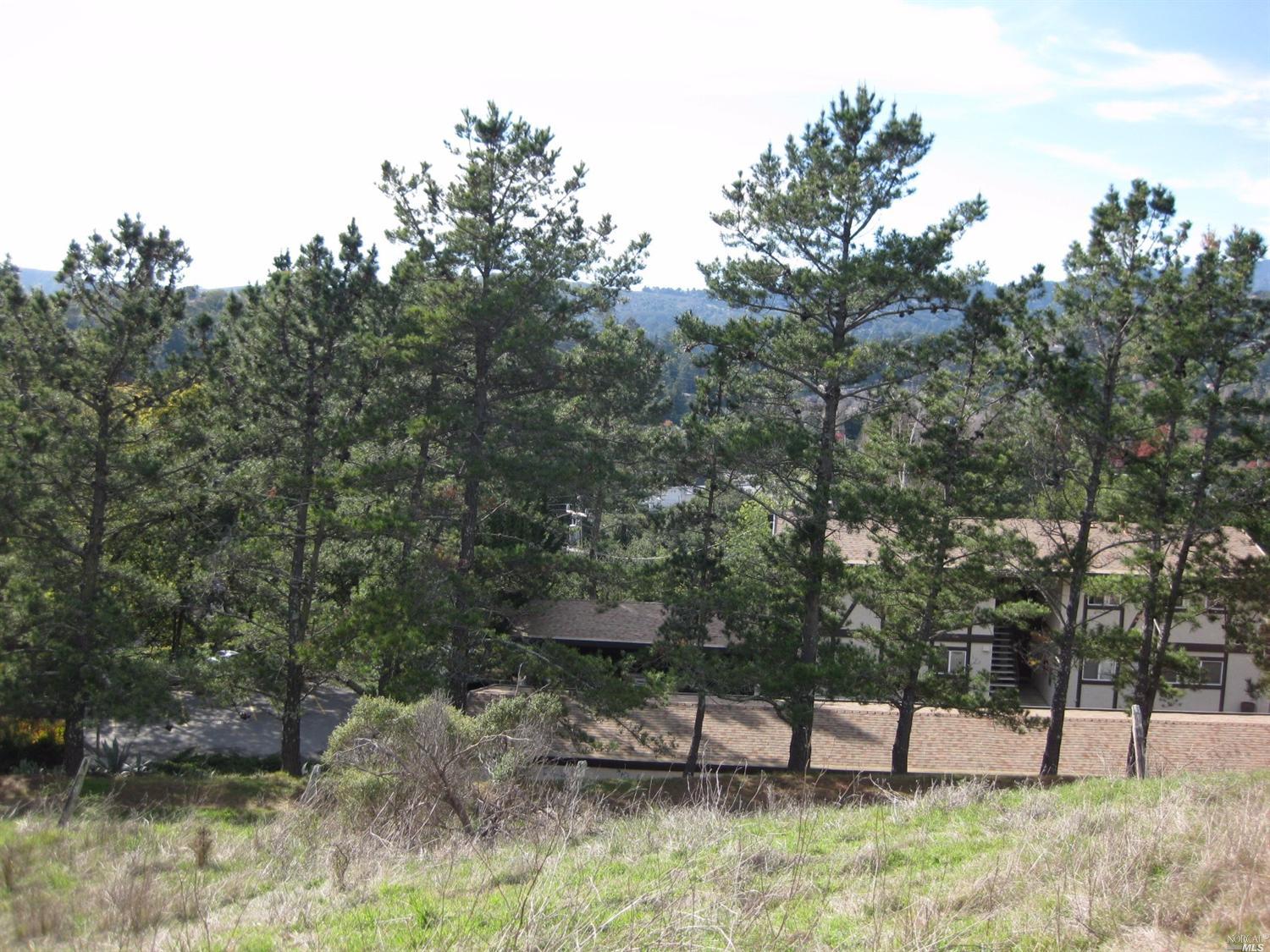 70 N Knoll Rd, Mill Valley, CA 94941 photo 10
