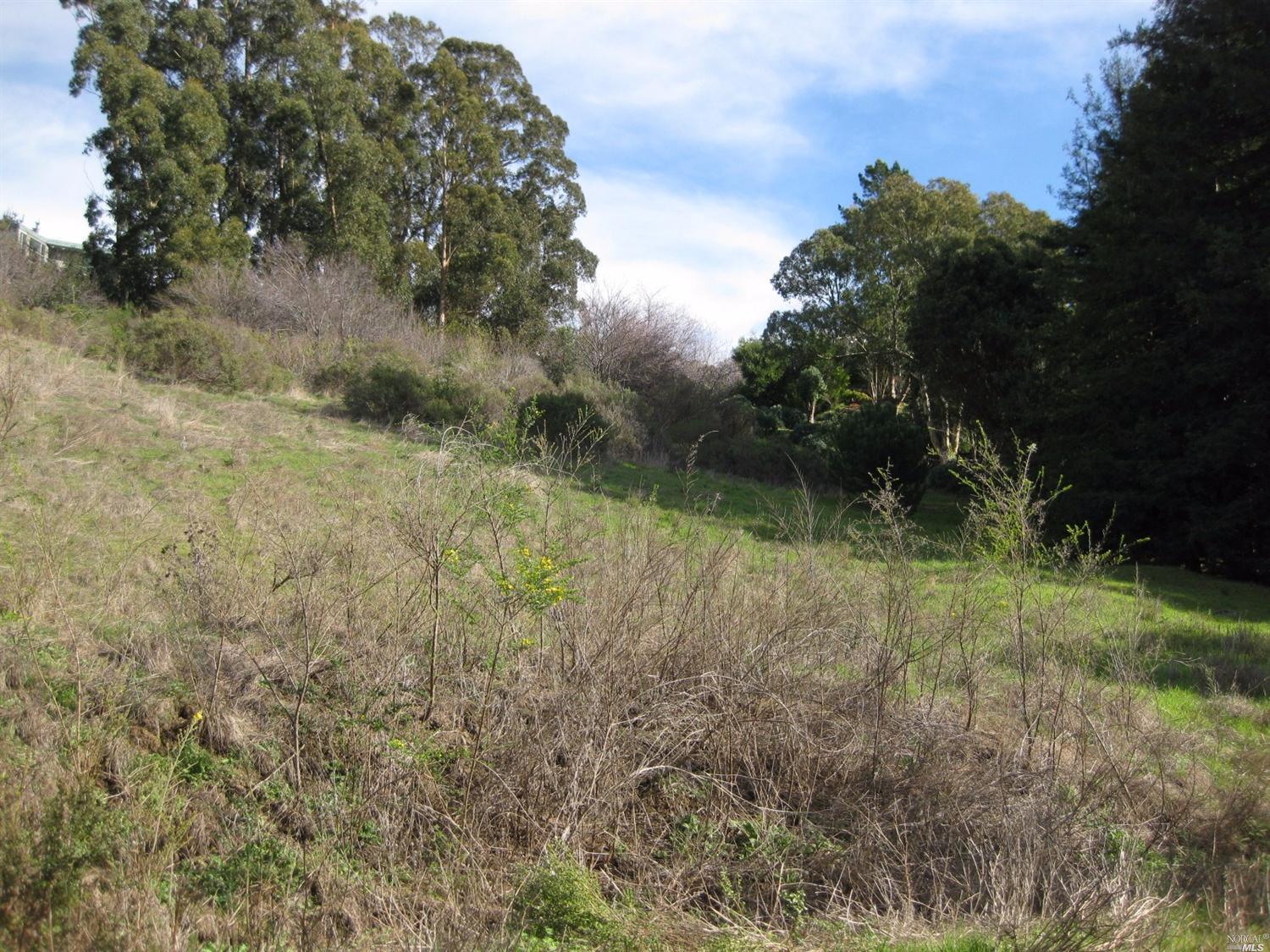 70 N Knoll Rd, Mill Valley, CA 94941 photo 12