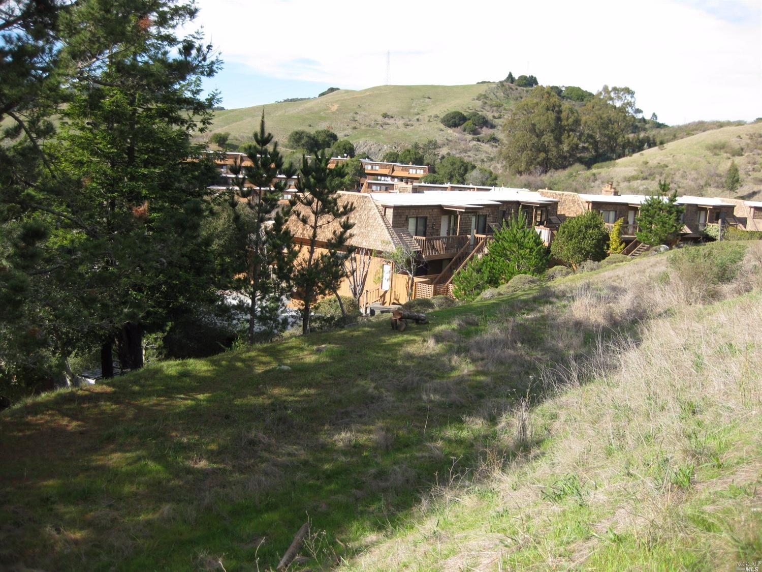 70 N Knoll Rd, Mill Valley, CA 94941 photo 5